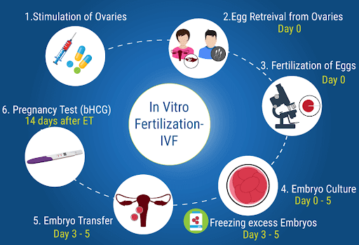 What-Is-IVF